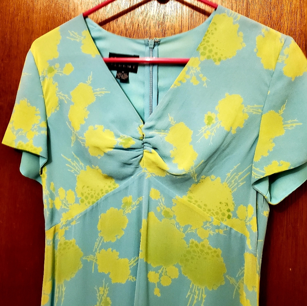 Beautiful Silk size 10 dress